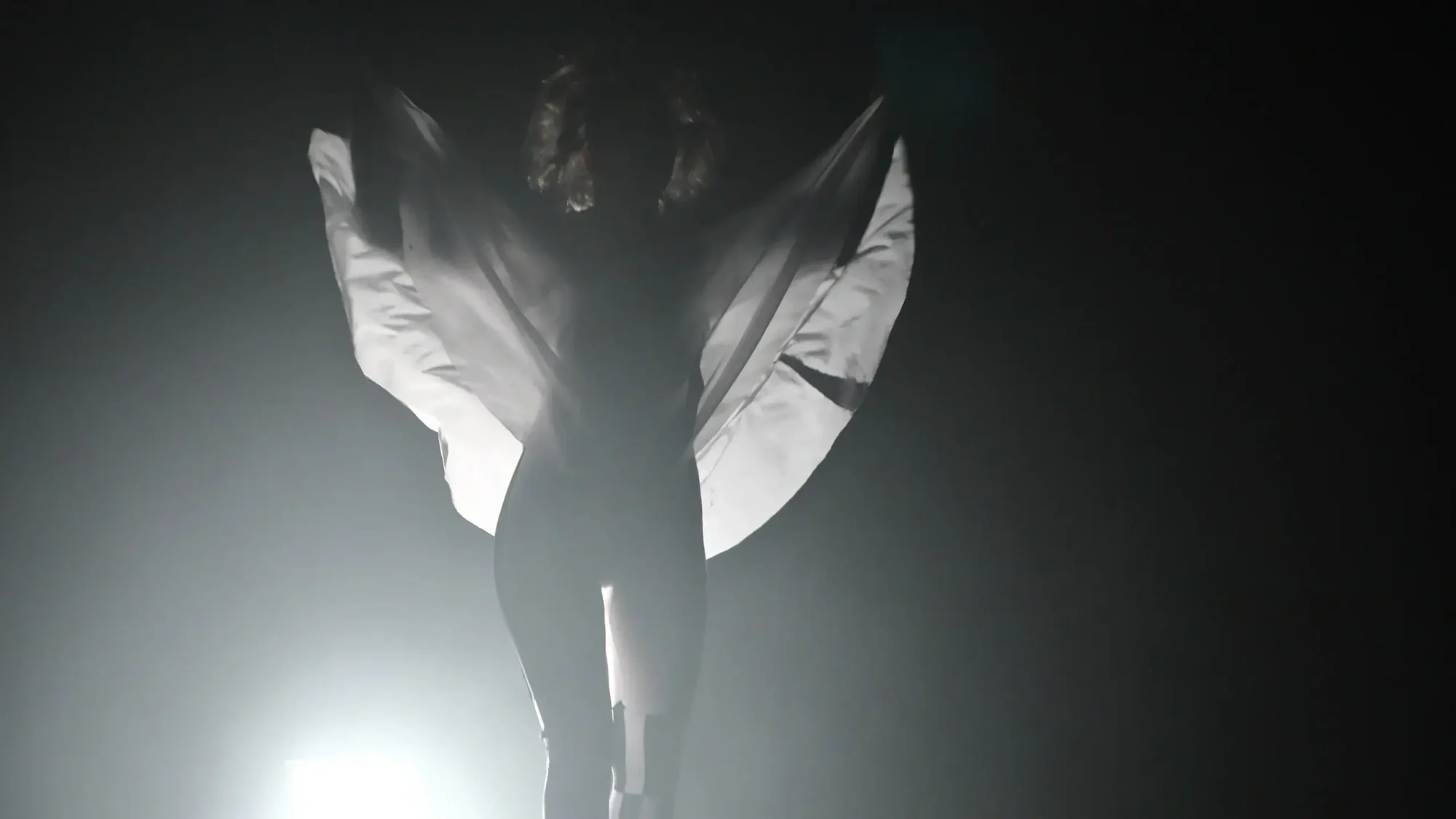 exposition exhibition art contemporain France bretagne performance séné lorient estampe xylographie installation spectacle danse mime théâtre dance theater music musique art transversal scenography scénographie costume contemporary artist artiste