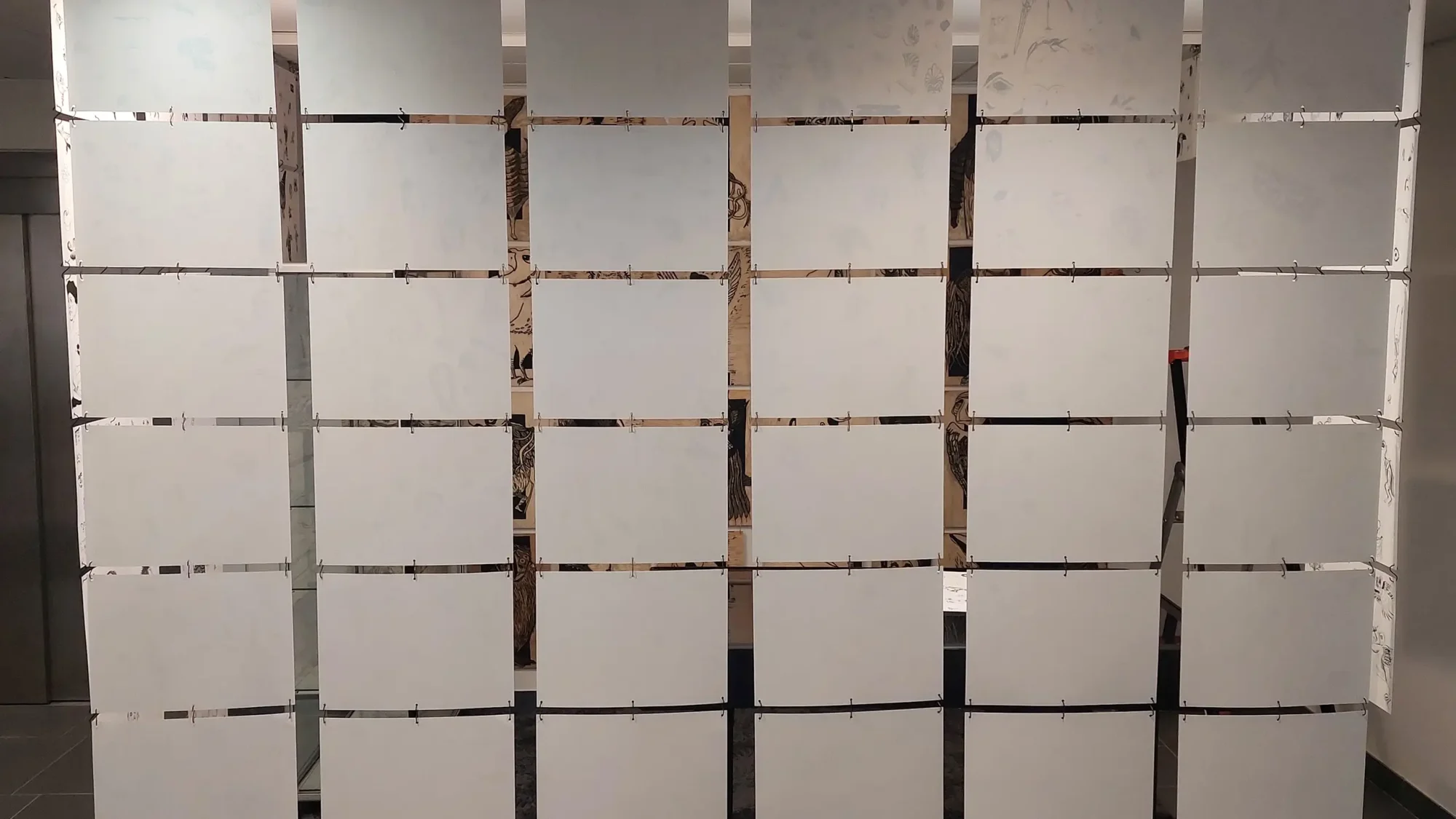 gravure nature sculpture exposition exhibition art contemporain France bretagne lorient estampe xylographie installation contemporary artist artiste lorient woodcut gravure bois prints print dessins draws naturalistes naturalist