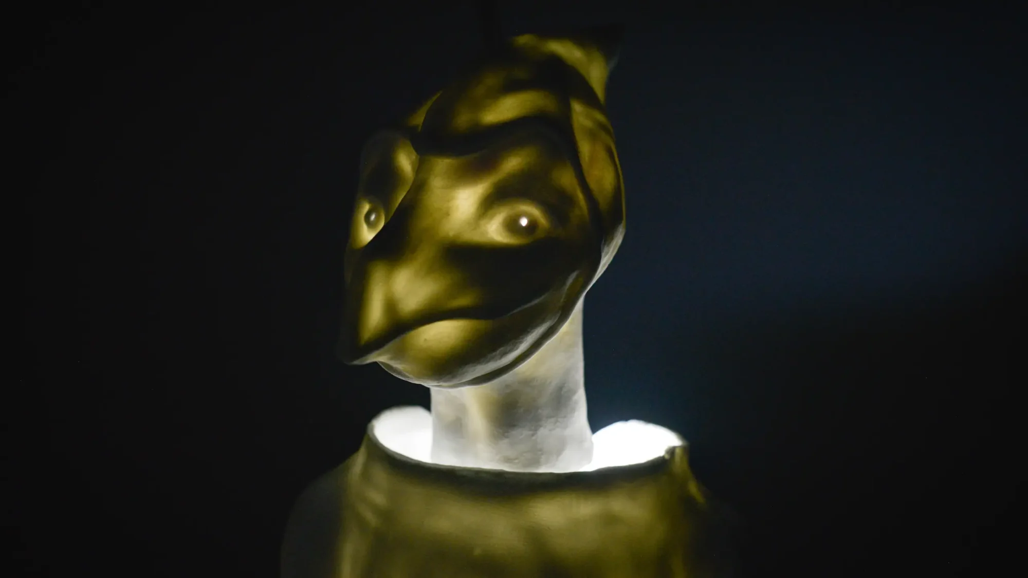 porcelaine lumiere porcelain ceramic ceramique nature sculpture exposition exhibition art contemporain France bretagne lorient estampe xylographie installation contemporary artist artiste lorient