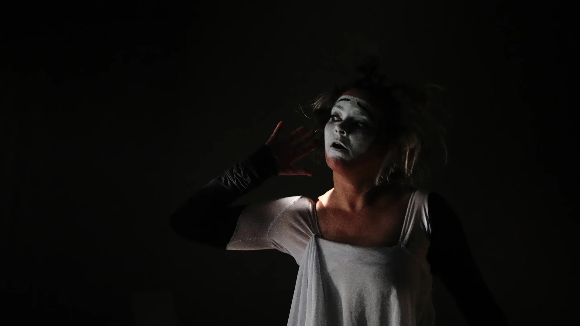 exposition exhibition art contemporain France bretagne performance séné lorient estampe xylographie installation spectacle danse mime théâtre dance theater music musique art transversal scenography scénographie costume contemporary artist artiste