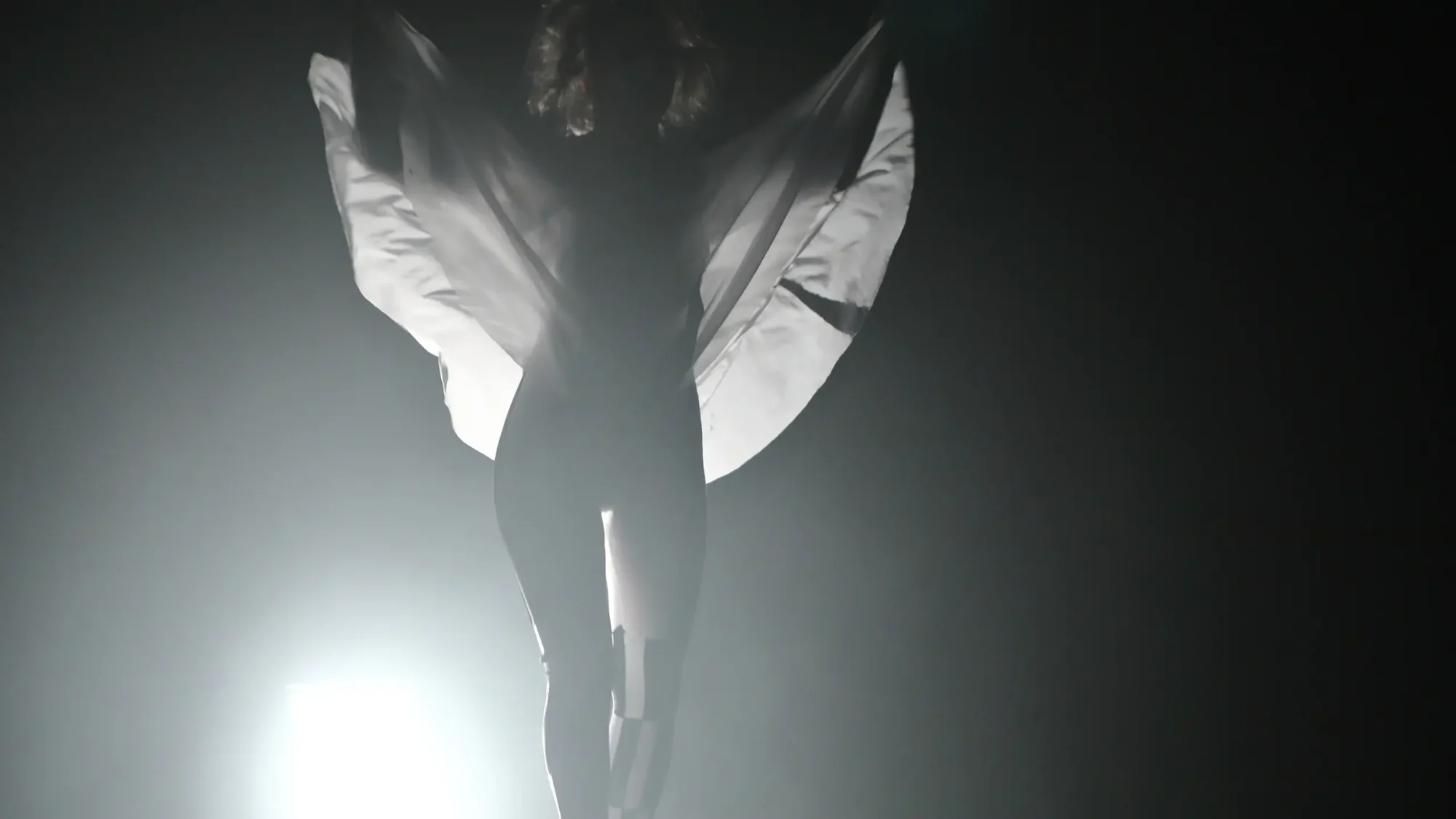 exposition exhibition art contemporain France bretagne performance séné lorient estampe xylographie installation spectacle danse mime théâtre dance theater music musique art transversal scenography scénographie costume contemporary artist artiste