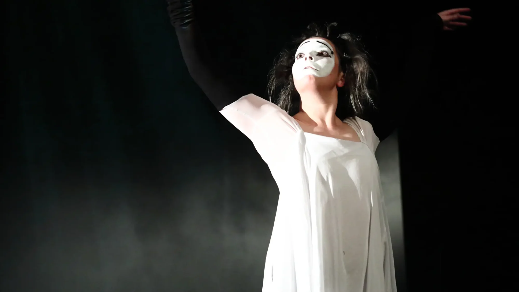 exposition exhibition art contemporain France bretagne performance séné lorient estampe xylographie installation spectacle danse mime théâtre dance theater music musique art transversal scenography scénographie costume contemporary artist artiste