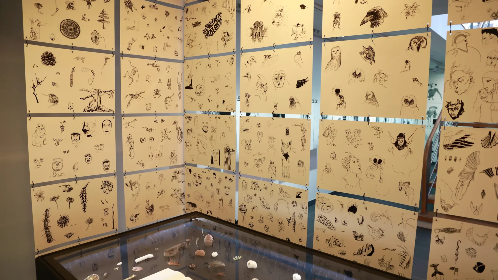 gravure nature sculpture exposition exhibition art contemporain France bretagne lorient estampe xylographie installation contemporary artist artiste lorient woodcut gravure bois prints print dessins draws naturalistes naturalist