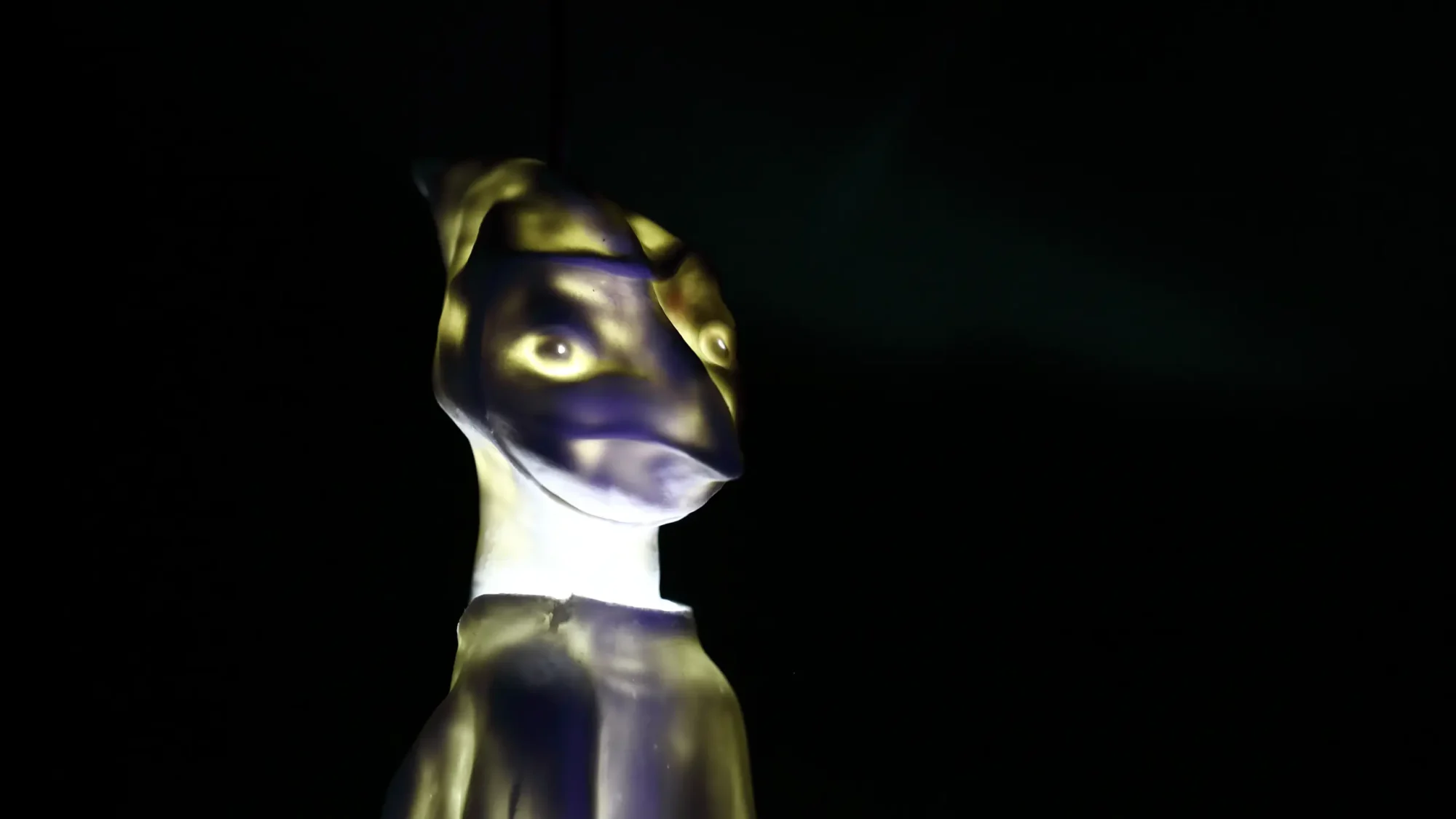 porcelaine lumiere porcelain ceramic ceramique nature sculpture exposition exhibition art contemporain France bretagne lorient estampe xylographie installation contemporary artist artiste lorient