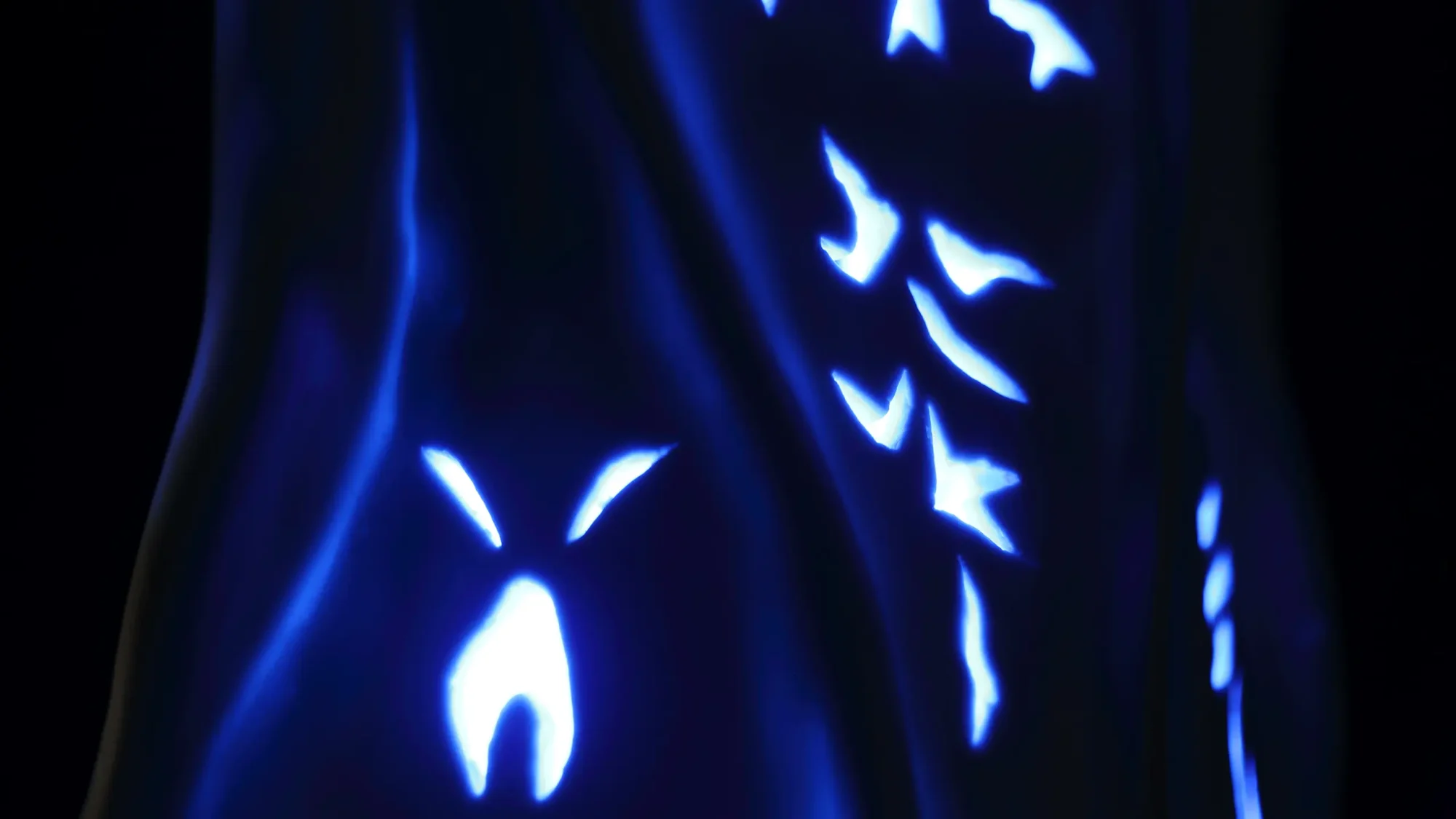 porcelaine lumiere porcelain ceramic ceramique nature sculpture exposition exhibition art contemporain France bretagne lorient estampe xylographie installation contemporary artist artiste lorient