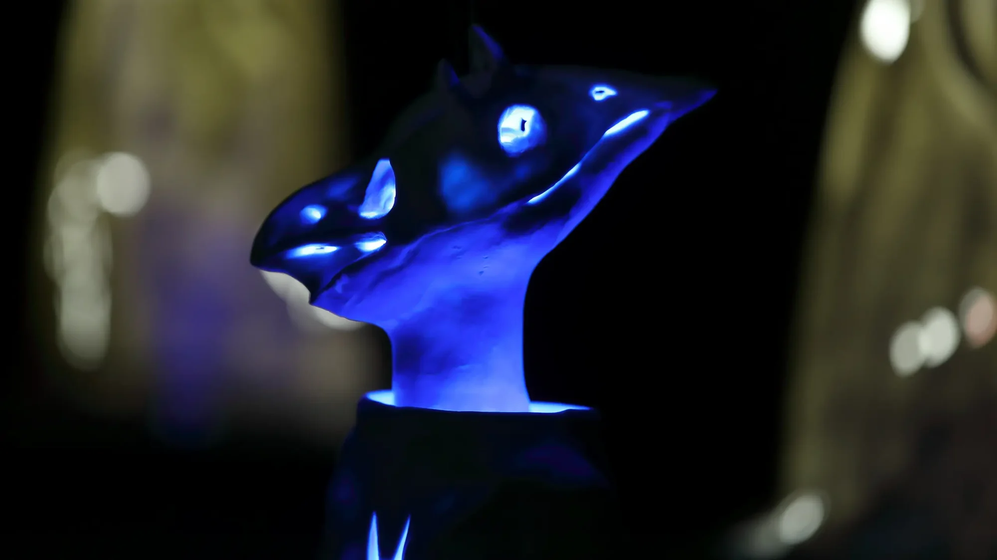 porcelaine lumiere porcelain ceramic ceramique nature sculpture exposition exhibition art contemporain France bretagne lorient estampe xylographie installation contemporary artist artiste lorient